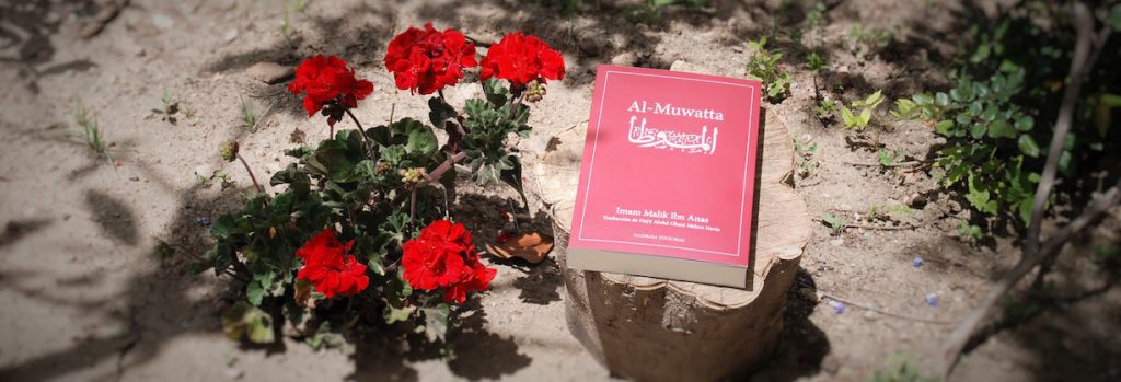 Madrasa Editorial